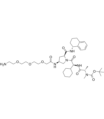 A 410099.1 amide-PEG3-amine structure