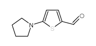 5-(1-PYRROLIDINYL)-2-THIOPHENECARBALDEHYDE structure