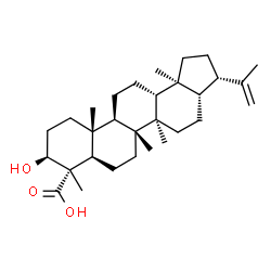(4S)-3β-Hydroxy-A'-neogammacer-22(29)-en-23-oic acid结构式