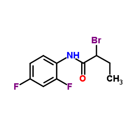 2-Bromo-N-(2,4-difluorophenyl)butanamide Structure