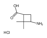 顺式-3-氨基-2,2-二甲基环丁烷羧酸盐酸盐结构式