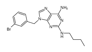 9-(3-bromobenzyl)-N2-butyl-9H-purine-2,6-diamine Structure