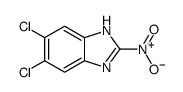 5,6-dichloro-2-nitro-1H-benzimidazole Structure