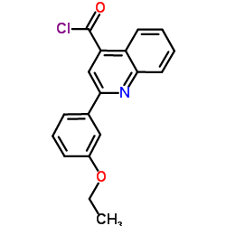 2-(3-Ethoxyphenyl)-4-quinolinecarbonyl chloride结构式