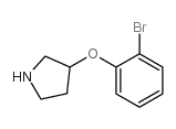 3-(2-Bromo-phenoxy)-pyrrolidine Structure