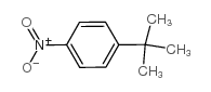 Benzene,1-(1,1-dimethylethyl)-4-nitro- structure