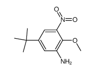5-tert-Butyl-2-methoxy-3-nitroaniline Structure
