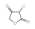 3-氯-2,4(3H,5H)-呋喃二酮图片
