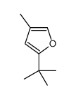 2-tert-butyl-4-methylfuran结构式