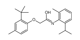 2-(2-tert-butyl-4-methylphenoxy)-N-(2-methyl-6-propan-2-ylphenyl)acetamide结构式