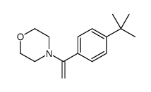 4-[1-(4-tert-butylphenyl)ethenyl]morpholine Structure