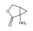 1-amino-3-oxabicyclo[3.1.0]hexan-2-one Structure