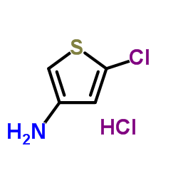 5-氯噻吩-3-胺盐酸盐结构式