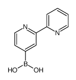 2,2'-BIPYRIDIN-4-YLBORONIC ACID structure