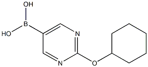 2-(Cyclohexyloxy)pyrimidine-5-boronic acid图片