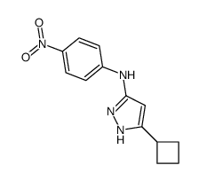 5-cyclobutyl-N-(4-nitrophenyl)-1H-pyrazol-3-amine结构式