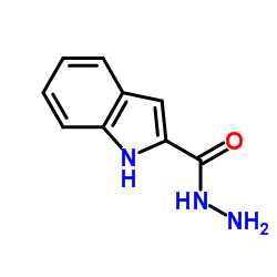 1H-Indole-2-carbohydrazide picture