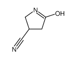 5-oxopyrrolidine-3-carbonitrile picture