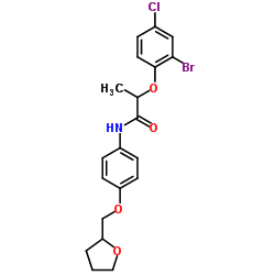 2-(2-Bromo-4-chlorophenoxy)-N-[4-(tetrahydro-2-furanylmethoxy)phenyl]propanamide Structure