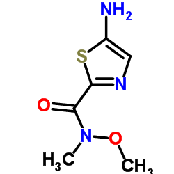 5-Amino-N-methoxy-N-methyl-1,3-thiazole-2-carboxamide结构式