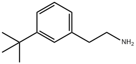 2-(3-tert-butylphenyl)ethan-1-amine picture