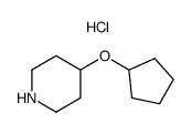 4-(cyclopentyloxy)piperidine hydrochloride Structure