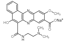 sodium,6-[2-(dimethylamino)ethylcarbamoyl]-10-methoxy-5-oxo-7H-benzo[a]phenazine-9-carboxylate结构式