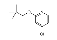 4-chloro-2-(2,2-dimethylpropoxy)pyridine Structure