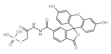 3',6'-dihydroxy-3-oxo-spiro(isobenzofuran-1(3H),9'-9H-xanthene)-6-carboxylic acid 2-((phosphonothio)acetyl)hydrazide picture