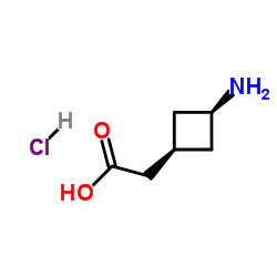 cis-(3-aminocyclobutyl)acetic acid hydrochloride picture