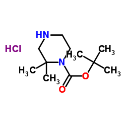 2,2-二甲基哌嗪-1-羧酸叔丁基盐酸盐结构式