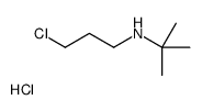 N-(3-chloropropyl)-2-methylpropan-2-amine,hydrochloride Structure