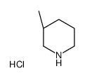 (R)-3-甲基哌啶盐酸盐结构式