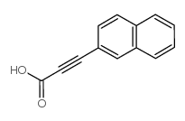 3-(2-Naphthyl)prop-2-ynoic acid Structure