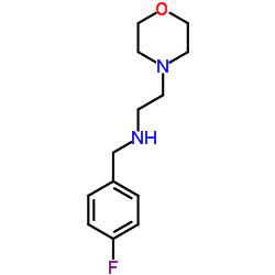 (4-FLUORO-BENZYL)-(2-MORPHOLIN-4-YL-ETHYL)-AMINE结构式