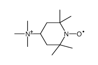 4-(N,N,N-trimethylamino)-2,2,6,6-tetramethylpiperidine-1-oxyl结构式