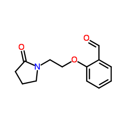 2-[2-(2-OXO-PYRROLIDIN-1-YL)-ETHOXY]-BENZALDEHYDE picture