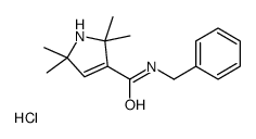 N-benzyl-2,2,5,5-tetramethyl-1H-pyrrole-3-carboxamide,hydrochloride Structure