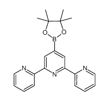 4'-(4,4,5,5-tetramethyl-1,3,2-dioxoborolato)terpyridine Structure