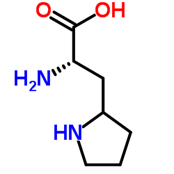 3-(2-Pyrrolidinyl)-L-alanine结构式
