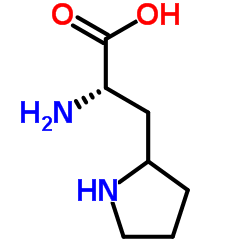 1254173-07-3 structure