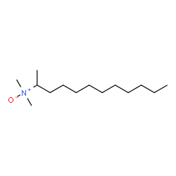 N,N-Dimethyl-2-dodecanamineN-oxide Structure