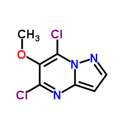 5,7-Dichloro-6-methoxypyrazolo[1,5-a]pyrimidine结构式