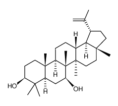 lup-20(29)-ene-3β,7β-diol structure