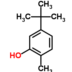 5-tert-Butyl-2-cresol structure