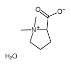 (2S)-1,1-dimethylpyrrolidin-1-ium-2-carboxylate,hydrate Structure