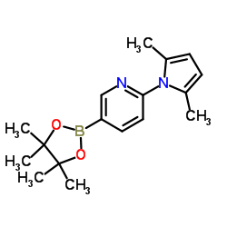 2-(2,5-二甲基-1H-吡咯-1-基)-5-硼酸频哪醇酯吡啶结构式