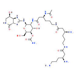 N-beta-acetylstreptothricin D结构式