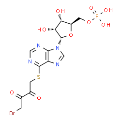 1-Bromo-4-((9-(5-O-phosphono-beta-D-ribofuranosyl)-9H-purin-6-yl)thio)-2,3-butanedione structure
