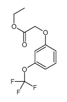 ethyl 2-[3-(trifluoromethoxy)phenoxy]acetate结构式